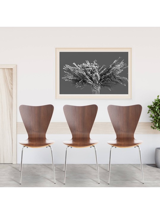 Cadeira para visitantes Calisto, nogueira Cadeira para visitantes Calisto, nogueira