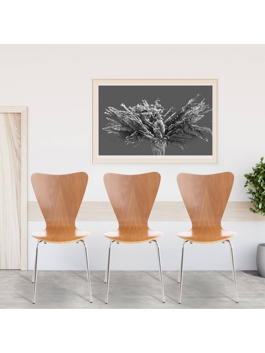 Conjunto de 2 cadeiras para visitantes Calisto, carvalho