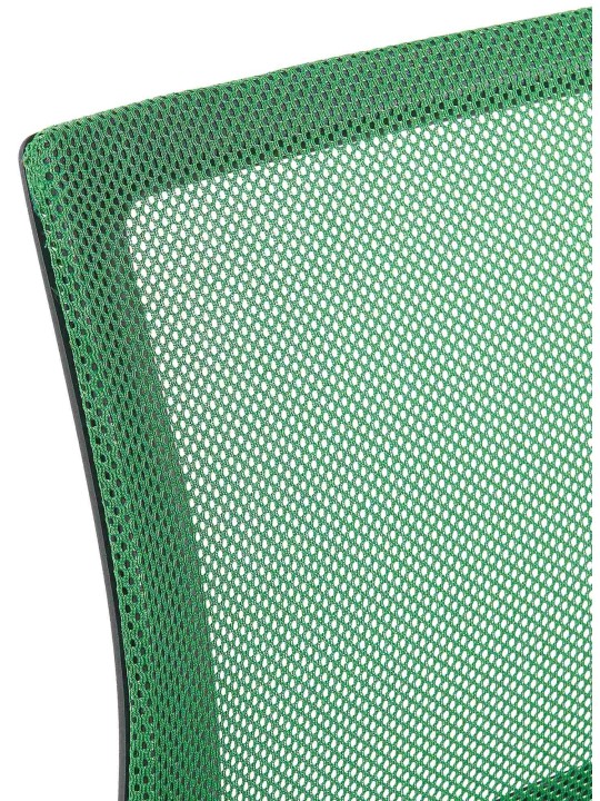 Conjunto de 2 cadeiras para visitantes Eureka, verde