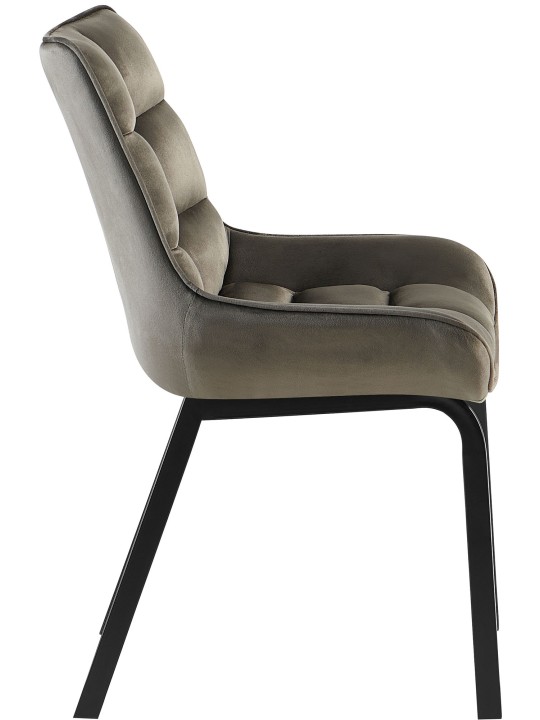 Cadeira de veludo Saranda, antracite